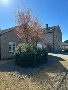 Tuinonderhoud - snoeiwerken