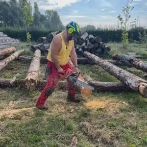 boomverzorging - snoeiwerken