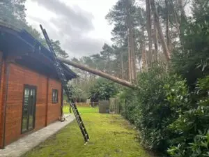 Stormschade - boomverzorging