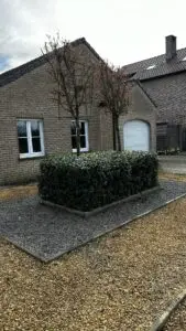 Tuinonderhoud - snoeiwerken